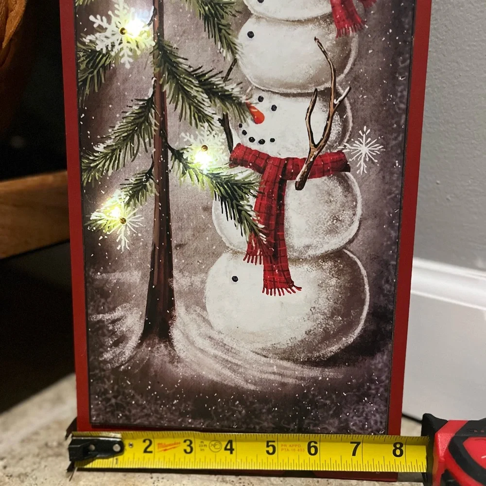 Christmas Lighted Decoration - NWT Even more beautiful in person!